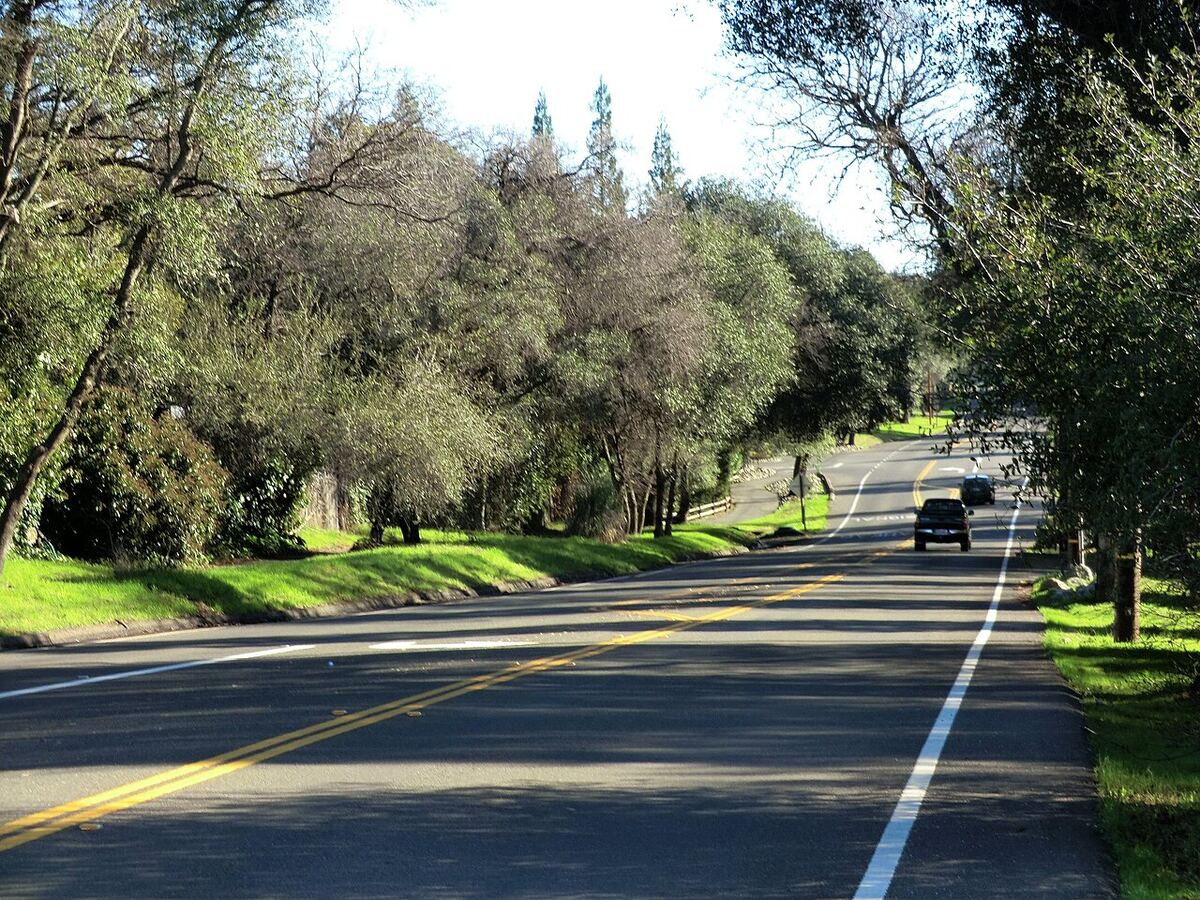 Oak-lined road in Granite Bay, California near Folsom Lake